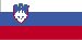 slovenian Georgia - State Name (Branch) (page 1)
