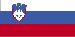 slovenian Connecticut - State Name (Branch) (page 1)